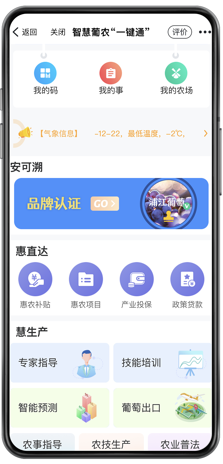 浦江手机虚.png