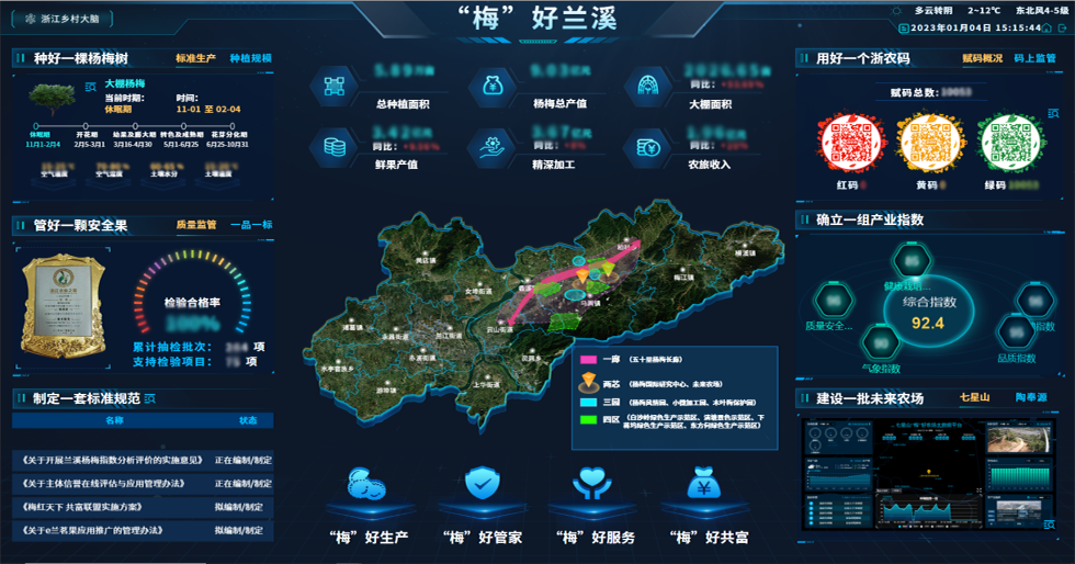 兰溪杨梅虚2.png