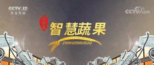 再登央视！兰溪杨梅 智慧蔬果，浙江森特打造兰溪数字田园，共绘兰溪“梅好”蓝图！